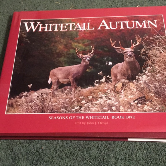 Vintage 1994 “Whitetail Autumn” Hardcover with dust jacket - Picture 1 of 4